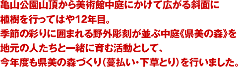 亀山公園山頂から美術館中庭にかけて広がる斜面に植樹を行ってはや12年目。季節の彩りに囲まれる野外彫刻が並ぶ中庭《県美の森》を地元の人たちと一緒に育む活動として、今年度も県美の森づくり（蔓払い・下草とり）を行いました。