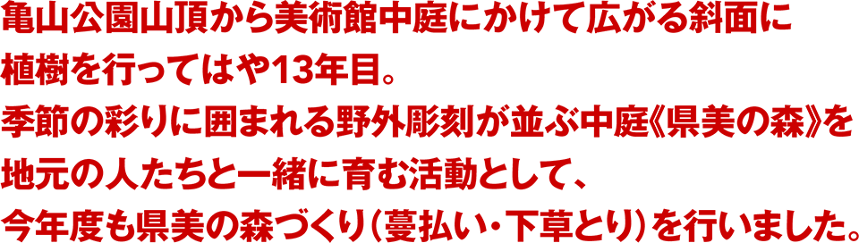 亀山公園山頂から美術館中庭にかけて広がる斜面に植樹を行ってはや13年目。季節の彩りに囲まれる野外彫刻が並ぶ中庭《県美の森》を地元の人たちと一緒に育む活動として、今年度も県美の森づくり（蔓払い・下草とり）を行いました。