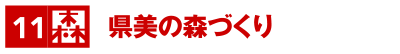 県美の森づくり