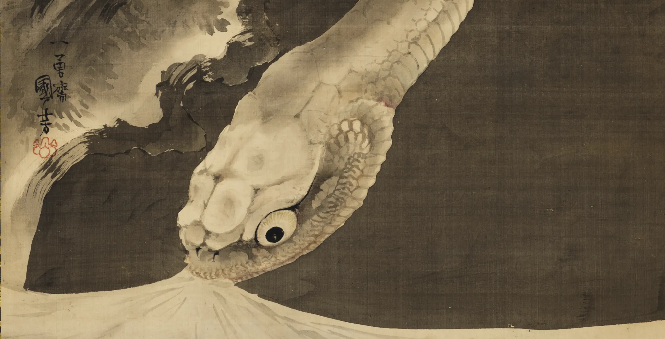 画像：水を呑む大蛇